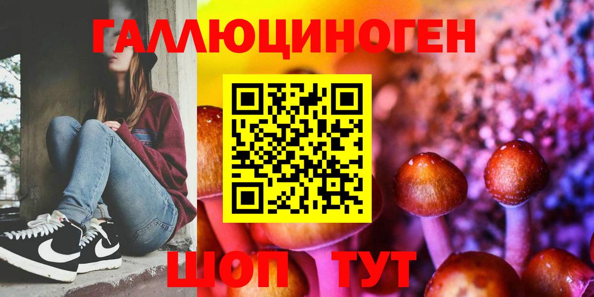 Выборг  Псилоцибиновые грибы Psilocybe  Вход с VPN 